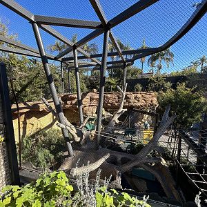 Squirrel Monkey Exhibit - Wildlife Explorers Basecamp