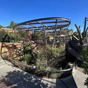 South American Coati Exhibit - Wildlife Explorers Basecamp