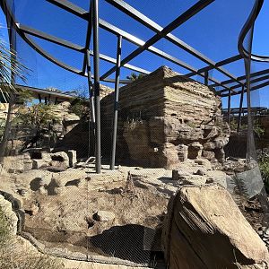 Black-tailed Prairie Dog & Burrowing Owl Exhibit - Wildlife Explorers Basecamp