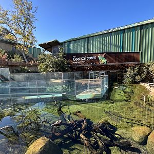 Marsh Exhibits + Cool Critters - Wildlife Explorers Basecamp