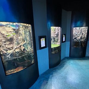 Cool Critters Terrariums - Wildlife Explorers Basecamp