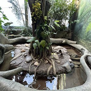 Leaf-cutter Ant Exhibit - Wildlife Explorers Basecamp