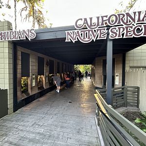 Amphibian & Native Herp Exhibits - Reptile Walk