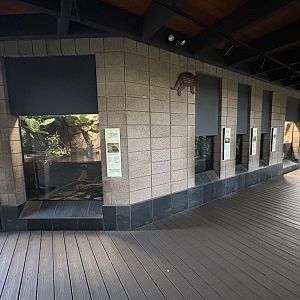 Freshwater Turtle Exhibits - Reptile Walk