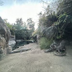 Gharial Pond - Reptile Walk