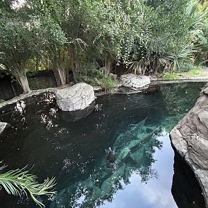 Gharial Pond - Reptile Walk