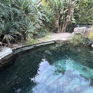 Gharial Pond - Reptile Walk