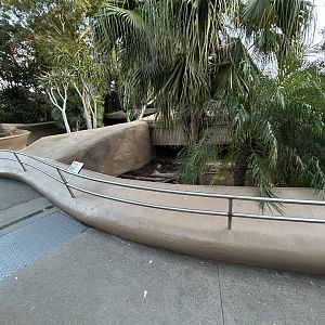 Brown Tortoise & Spur-thighed Tortoise Exhibits - Reptile Walk