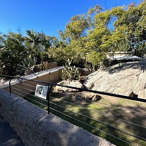 Grand Cayman Iguana Exhibit - Reptile Walk