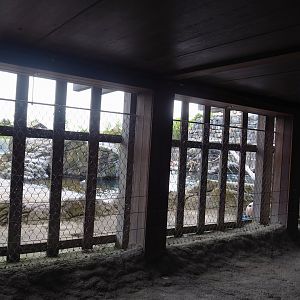 Steller's sea lion beach viewing area next to underwater viewing area, 2023-05-16