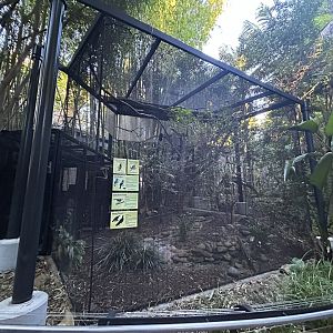 Ground Floor Aviary (5 species) - Monkey Trails & Forest Tales