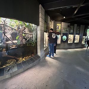 Herp Exhibits - Monkey Trails & Forest Tales