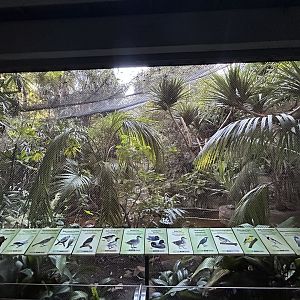 Marsh Aviary - Tiger River