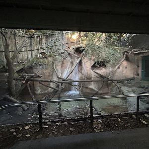 Spotted-necked Otter Exhibit - Tiger River