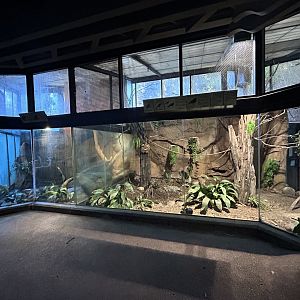 Bird & Herp Exhibits - Tiger River