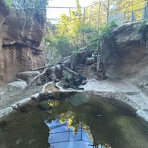 Malayan Tiger Exhibit #2 - Tiger River