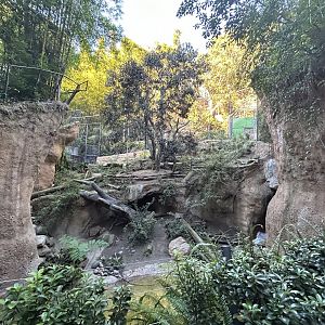 Malayan Tiger Exhibit #1 - Tiger River
