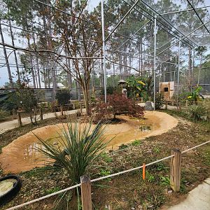 Alabama Gulf Coast Zoo - Inside aviary