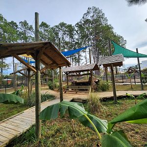 Alabama Gulf Coast Zoo - Sloth exhibit/encounter area
