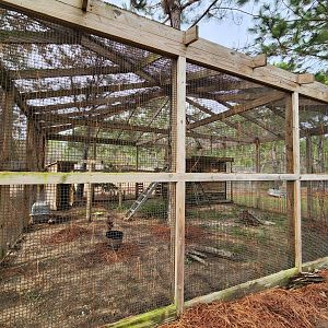 Alabama Gulf Coast Zoo - Bobcat enclosure