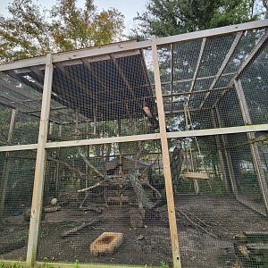 Alabama Gulf Coast Zoo - Capuchin enclosure