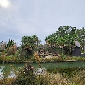 Alabama Gulf Coast Zoo - Spider Monkey exhibit