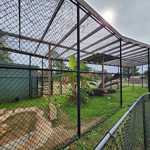 Alabama Gulf Coast Zoo - Serval enclosure