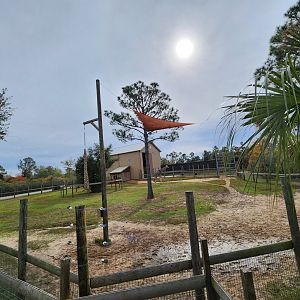 Alabama Gulf Coast Zoo - Giraffe yard