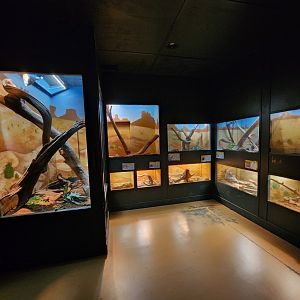 Alabama Gulf Coast Zoo - Inside the reptile house