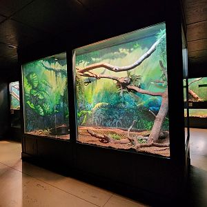 Alabama Gulf Coast Zoo - Anaconda and boa exhibit