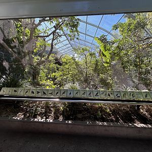 Scripps Aviary