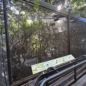 Side Aviaries connected to Scripps Aviary