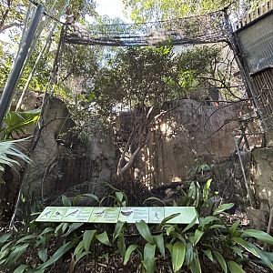 Aviary (6 species) - Gorilla Tropics