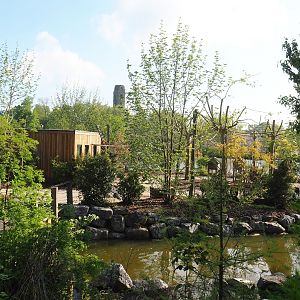 New squirrel monkey island (Currently only accessible for paid animal encounters), 2023-05-16