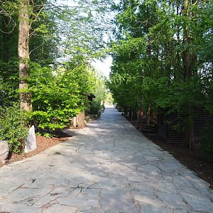 Main walkway near lakeside, 2023-05-16