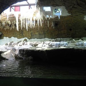 Penguin cave, 2023-05-15