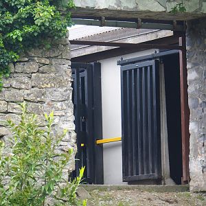 Musk ox holding area, with passage through old abbey wall, 2023-05-15