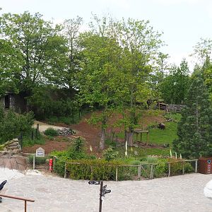 Musk ox paddock, 2023-05-16