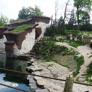 Male Polar bear exhibit, 2023-05-16