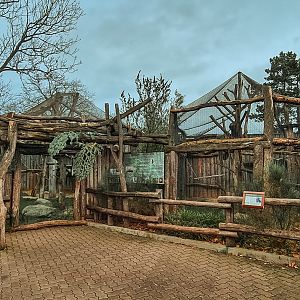 Tanzanian Black-and-white colobus enclosures