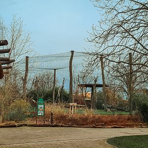 Vulture & porcupine aviary