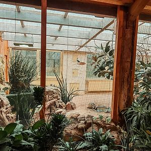 Indoor aviary with pond