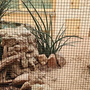 Indoor aviary with pond