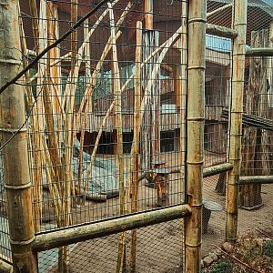 Mandrill enclosure