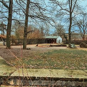 One of the typical herbivore yards