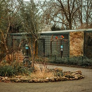 Aviaries for macaws, parrots, tamarins & marmosets