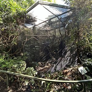 Palm Cockatoo Aviary