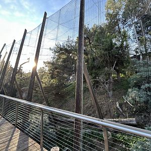 Harpy Eagle Aviary - Eagle Trail