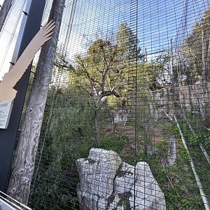 Andean Condor Aviary - Eagle Trail