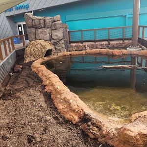 Mississippi Aquarium - Beaver enclosure